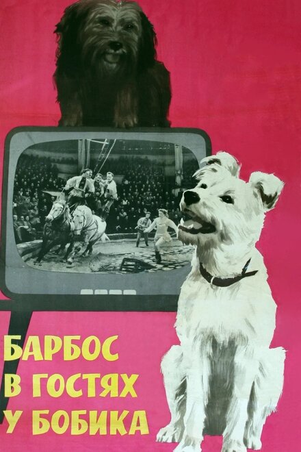 Барбос в гостях у Бобика (1964)