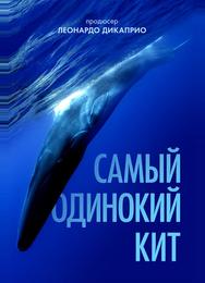 Самый одинокий кит