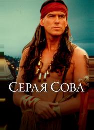 Серая сова