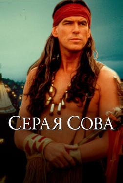 Серая сова Серая сова