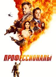 Профессионалы
