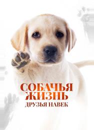 Собачья жизнь: Друзья навек