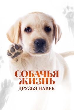 Собачья жизнь: Друзья навек Собачья жизнь: Друзья навек