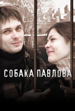 Собака Павлова Собака Павлова