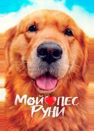 Мой пёс Руни