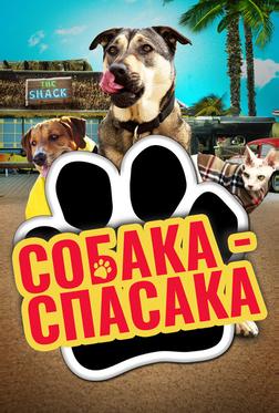 Собака-спасака Собака-спасака