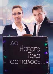 До Нового года осталось…