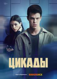 Цикады