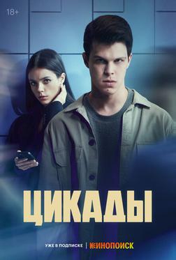 Цикады Цикады