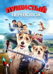 Пушистый переполох