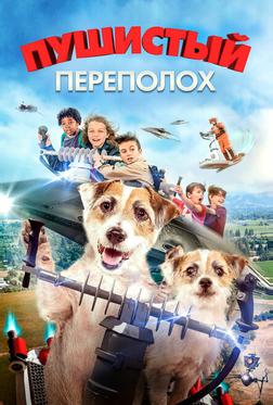 Пушистый переполох Пушистый переполох