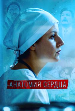 Анатомия сердца