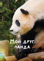Мой друг панда