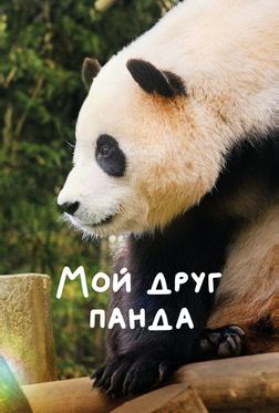 Мой друг панда Мой друг панда