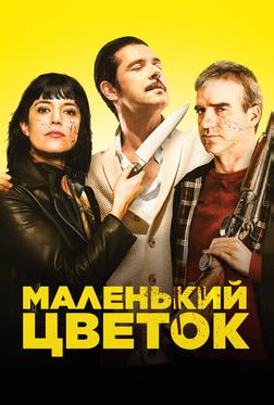 Маленький цветок Маленький цветок