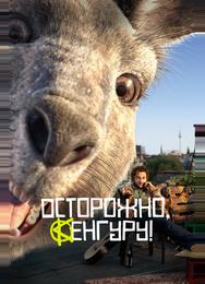 Осторожно, Кенгуру!