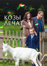 Козы лечат