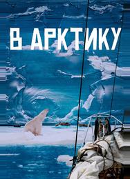 В Арктику