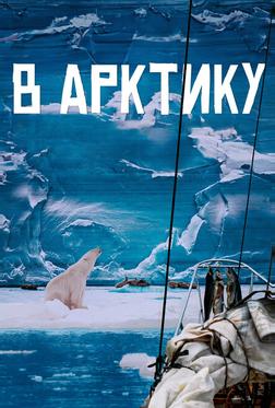 В Арктику В Арктику