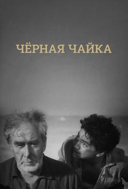 Черная чайка Черная чайка