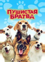 Пушистая братва