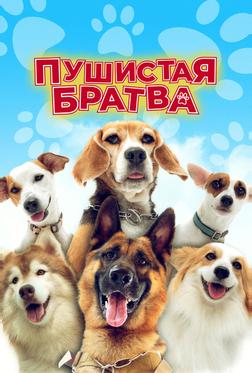 Пушистая братва Пушистая братва