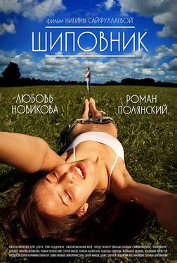Шиповник Шиповник