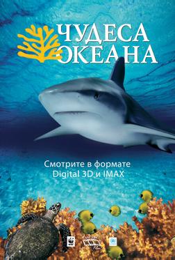 Чудеса океана Чудеса океана