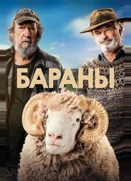 Бараны