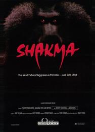 Шакма
