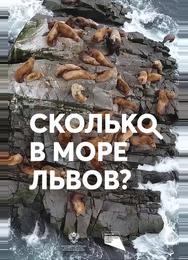 Сколько в море львов?