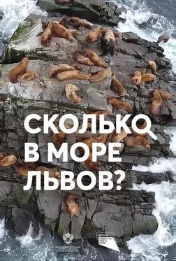 Сколько в море львов? Сколько в море львов?
