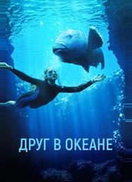 Друг в океане