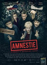 Амнистия