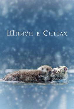 Шпион в снегах Шпион в снегах