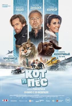 Кот и пёс Кот и пёс