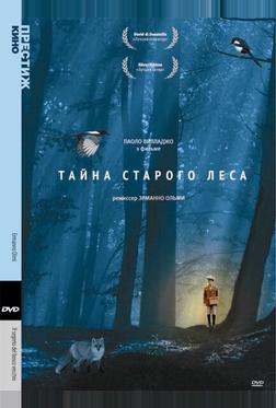 Тайна старого леса Тайна старого леса