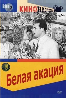 Белая акация Белая акация