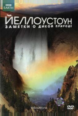 Йеллоустоун: Заметки о дикой природе Йеллоустоун: Заметки о дикой природе
