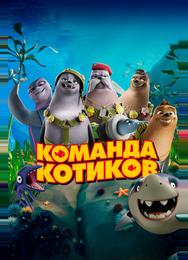Команда котиков