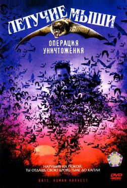 Летучие мыши: Операция уничтожения Летучие мыши: Операция уничтожения