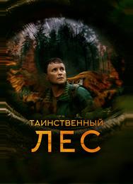 Таинственный лес