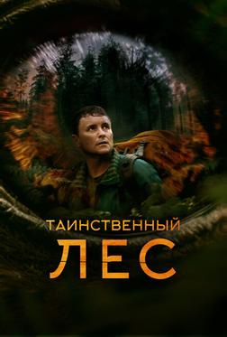 Таинственный лес Таинственный лес