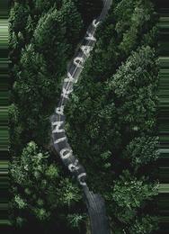 Обычные дни