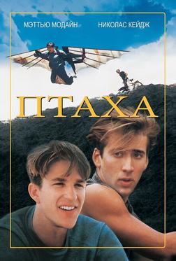Птаха Птаха