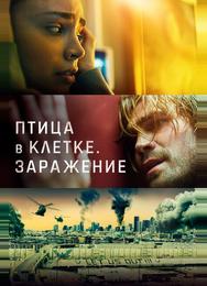 Птица в клетке. Заражение
