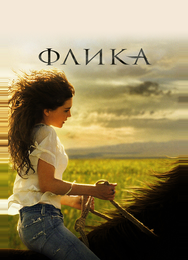 Флика