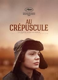 В сумерках