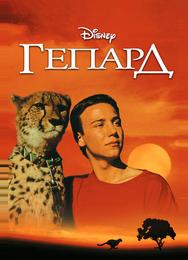Гепард