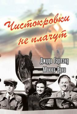 Чистокровки не плачут Чистокровки не плачут